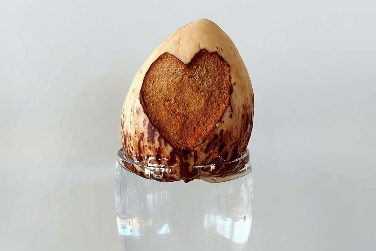 Avocado pit marked with a heart